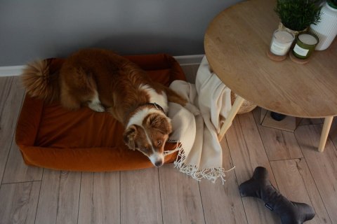 Legowisko ortopedyczne dla psa - Cuddle Vivo (Oliwkowa zieleń Vivo, M - 90x75 cm) Hectolove