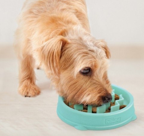 Outward Hound Outward Hound Fun Feeder Tiny (XS) Miska spowalniająca miętowa [67829]