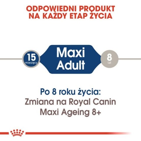 Royal Canin Size Royal Canin Maxi Adult karma mokra w sosie dla psów dorosłych, do 5 roku życia, ras dużych saszetka 140g