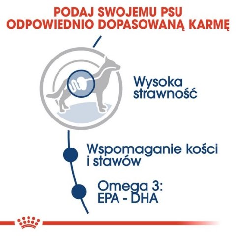 Royal Canin Size Royal Canin Maxi Adult karma mokra w sosie dla psów dorosłych, do 5 roku życia, ras dużych saszetka 140g