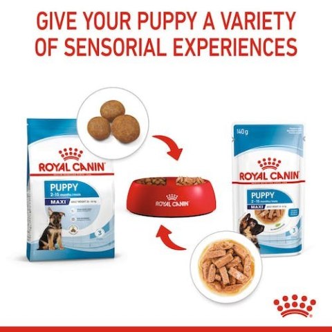 Royal Canin Size Royal Canin Maxi Puppy karma mokra w sosie dla szczeniąt, od 2 do 15 miesiąca życia, ras dużych saszetka 140g