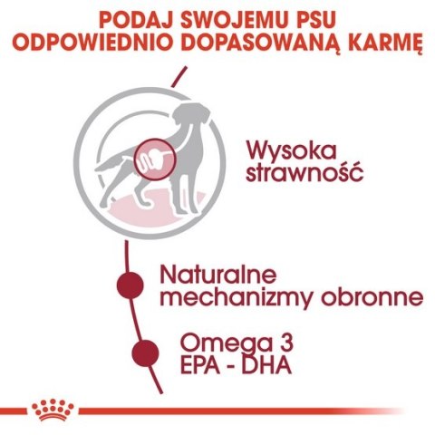 Royal Canin Size Royal Canin Medium Adult karma mokra w sosie dla psów dorosłych, ras średnich saszetika 140g