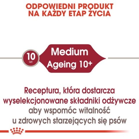 Royal Canin Size Royal Canin Medium Ageing 10+ karma mokra w sosie dla psów dojrzałych po 10 roku życia, ras średnich saszetka 1