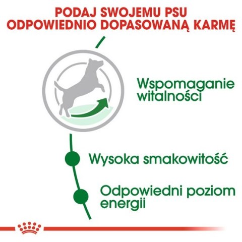 Royal Canin Size Royal Canin Mini Adult karma mokra w sosie dla psów dorosłych, ras małych saszetka 85g