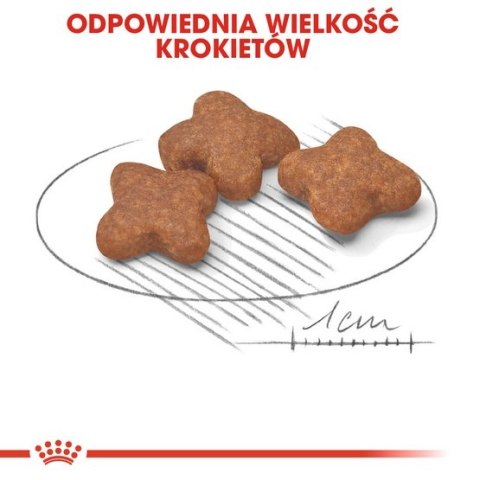 Royal Canin Size Royal Canin Mini Adult karma mokra w sosie dla psów dorosłych, ras małych saszetka 85g