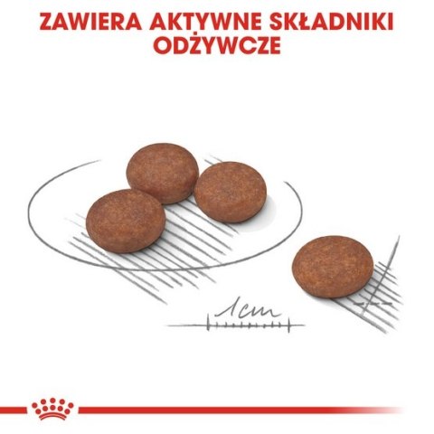 Royal Canin Size Royal Canin Mini Digestive Care karma sucha dla psów dorosłych, ras małych o wrażliwym przewodzie pokarmowym 3k