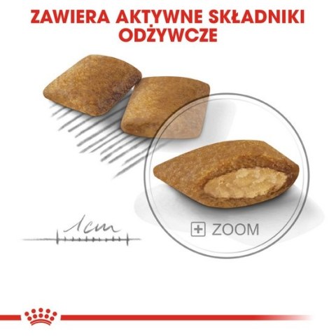 Royal Canin Size Royal Canin Mini Exigent karma sucha dla psów dorosłych, ras małych, wybrednych 1kg