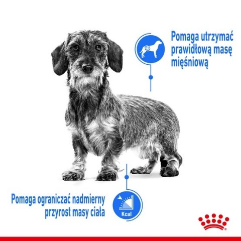 Royal Canin Size Royal Canin Mini Light Weight Care karma sucha dla psów dorosłych, ras małych z tendencją do nadwagi 1kg