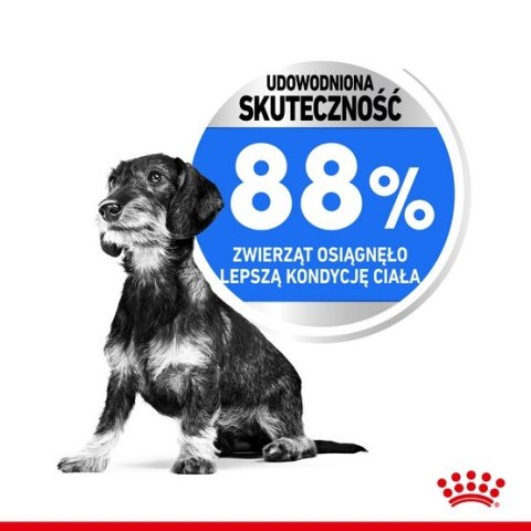 Royal Canin Size Royal Canin Mini Light Weight Care karma sucha dla psów dorosłych, ras małych z tendencją do nadwagi 1kg