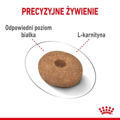 Royal Canin Size Royal Canin Mini Light Weight Care karma sucha dla psów dorosłych, ras małych z tendencją do nadwagi 1kg