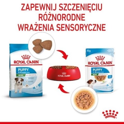 Royal Canin Size Royal Canin Mini Puppy karma mokra w sosie dla szczeniąt, od 2 do 10 miesiąca życia, ras małych saszetka 85g