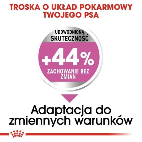 Royal Canin Size Royal Canin Mini Relax Care karma sucha dla psów dorosłych, ras małych, narażonych na działanie stresu 1kg