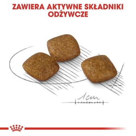 Royal Canin Size Royal Canin Mini Relax Care karma sucha dla psów dorosłych, ras małych, narażonych na działanie stresu 1kg