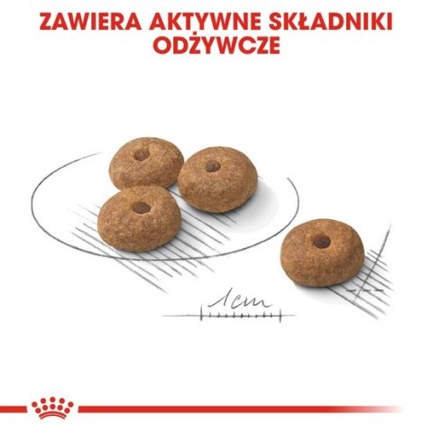 Royal Canin Size Royal Canin Mini Sterilised karma sucha dla psów dorosłych, ras małych, sterylizowanych 1kg