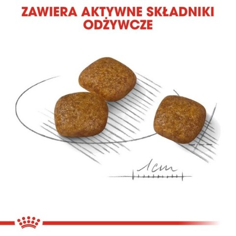 Royal Canin Size Royal Canin Mini Urinary Care karma sucha dla psów dorosłych, ras małych, ochrona dolnych dróg moczowych 1kg