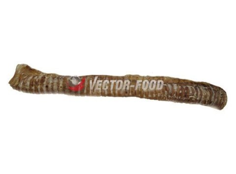 Vector-Food Vector-Food Tchawica wołowa cała 1szt/35cm