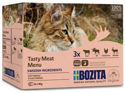 Bozita Bozita Cat Multibox z mięsem w galaretce saszetki 12x85g