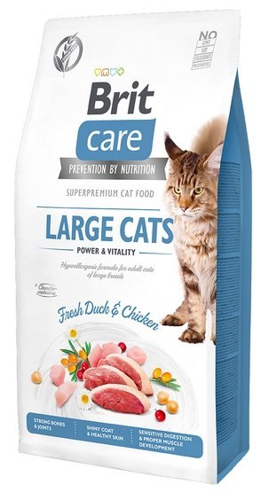 Brit Brit Care Cat Grain Free Large Cats Power & Vitality 2kg