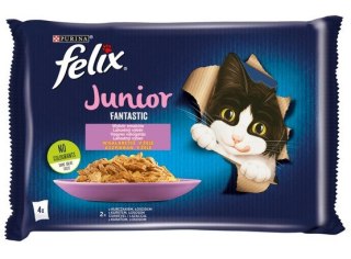 Felix Fantastic Felix Fantastic Junior kurczak/łosoś w galaretce saszetki 4x85g