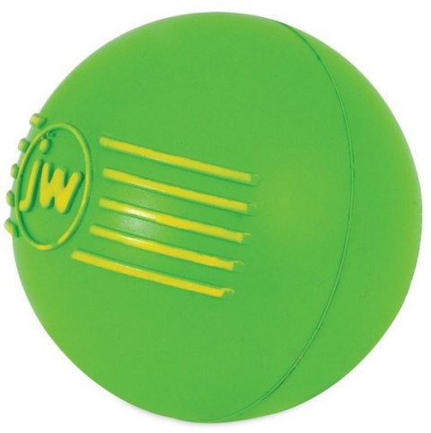 JW Pet JW Pet iSqueak Ball Medium [32124D]