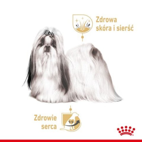 Royal Canin Breed Royal Canin Shih Tzu Adult karma mokra dla psów dorosłych rasy shih tzu saszetka 85g