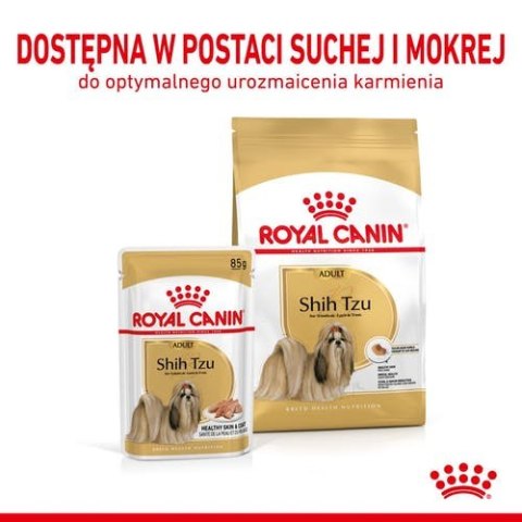 Royal Canin Breed Royal Canin Shih Tzu Adult karma mokra dla psów dorosłych rasy shih tzu saszetka 85g