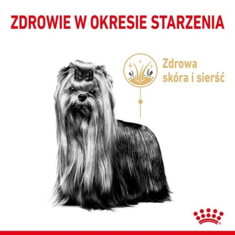 Royal Canin Breed Royal Canin Yorkshire Terrier Adult 8+ karma sucha dla psów starszych rasy yorkshire terrier 1,5kg