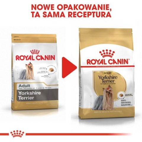 Royal Canin Breed Royal Canin Yorkshire Terrier Adult karma sucha dla psów dorosłych rasy yorkshire terrier 3kg