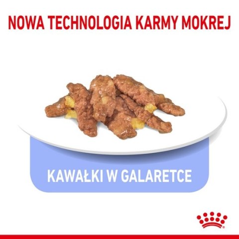 Royal Canin Feline Royal Canin Indoor Sterilised Jelly karma mokra dla kotów dorosłych sterylizowanych, przebywających w domu sa