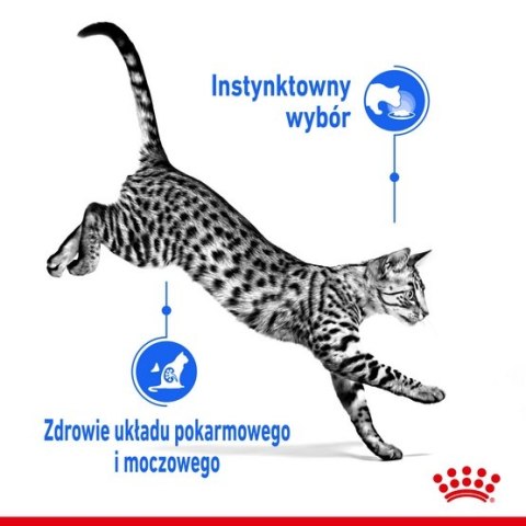 Royal Canin Feline Royal Canin Indoor Sterilised sos karma mokra dla kotów dorosłych sterylizowanych, przebywających w domu sasz