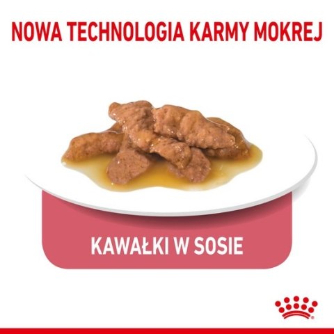 Royal Canin Feline Royal Canin Indoor Sterilised sos karma mokra dla kotów dorosłych sterylizowanych, przebywających w domu sasz