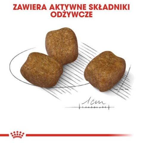 Royal Canin Size Royal Canin Mini Dental Care karma sucha dla psów dorosłych, ras małych, redukująca powstawanie kamienia nazębn