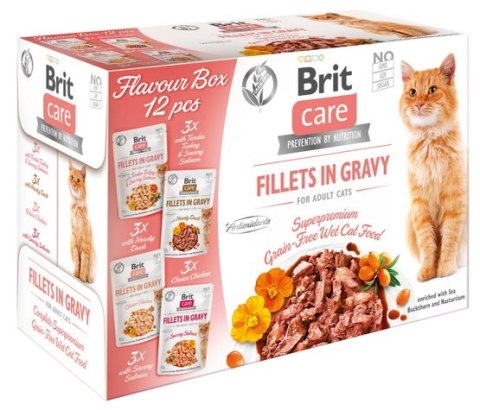 Brit Brit Care Cat Fillets In Gravy Flavour Box saszetki 12x85g