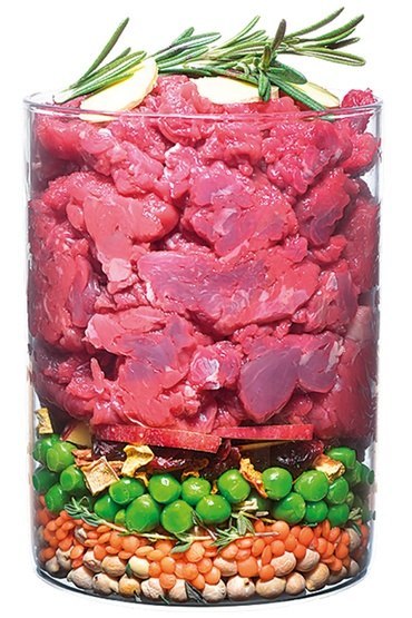 Carnilove Carnilove Dog True Fresh Beef Adult - wołowina 4kg