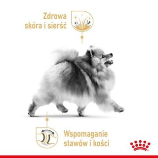 Royal Canin Breed Royal Canin Pomeranian Adult karma mokra dla psów dorosłych rasy szpic miniaturowy, pasztet saszetka 85g