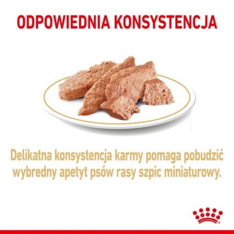 Royal Canin Breed Royal Canin Pomeranian Adult karma mokra dla psów dorosłych rasy szpic miniaturowy, pasztet saszetka 85g