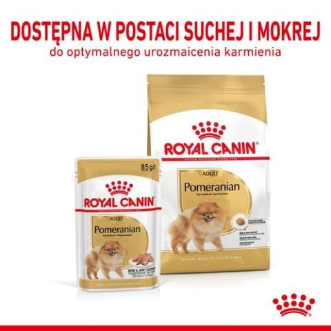 Royal Canin Breed Royal Canin Pomeranian Adult karma mokra dla psów dorosłych rasy szpic miniaturowy, pasztet saszetka 85g