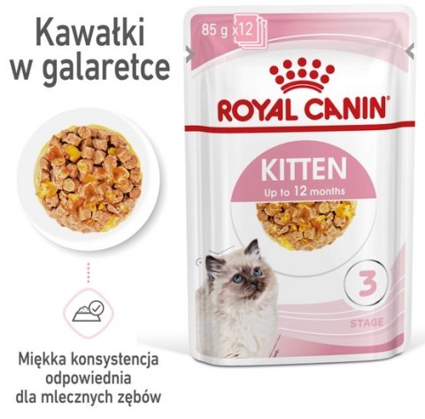 Royal Canin Feline Royal Canin Feline Kitten Multipack karma mokra dla kociąt do 12 miesiąca życia saszetki 4x85g