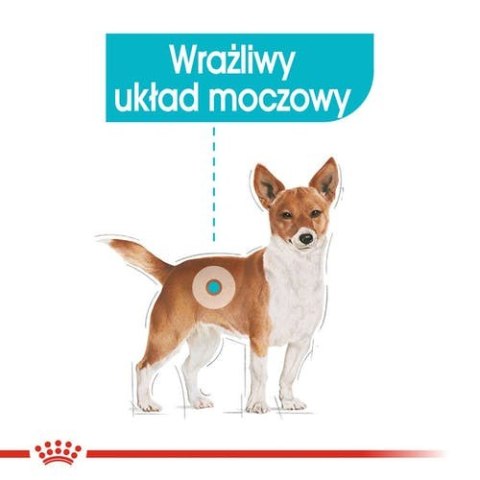 Royal Canin Linia Weterynaryjna Royal Canin Urinary Care karma mokra dla psów dorosłych, wszystkich ras, wspierająca układ moczo