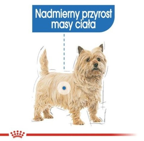 Royal Canin Size Royal Canin Light Weight Care karma mokra dla psów dorosłych, wszystkich ras z tendencją do nadwagi saszetka 85