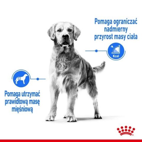 Royal Canin Size Royal Canin Maxi Light Weight Care karma sucha dla psów dorosłych, ras dużych z tendencją do nadwagi 3kg