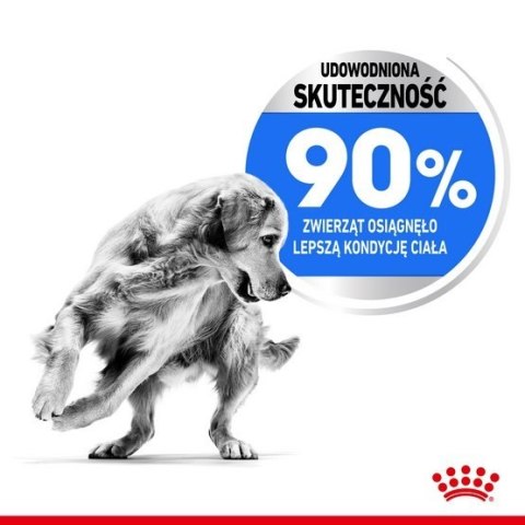 Royal Canin Size Royal Canin Maxi Light Weight Care karma sucha dla psów dorosłych, ras dużych z tendencją do nadwagi 3kg