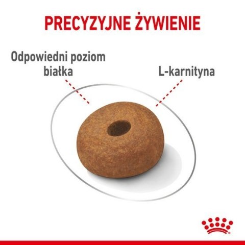 Royal Canin Size Royal Canin Maxi Light Weight Care karma sucha dla psów dorosłych, ras dużych z tendencją do nadwagi 3kg