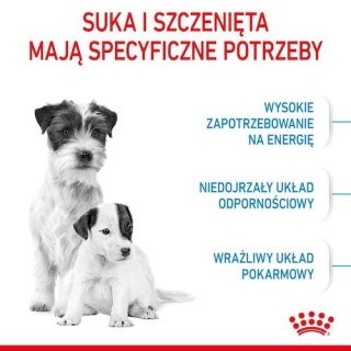 Royal Canin Size Royal Canin Mini Starter Mother&Babydog karma sucha dla szczeniąt do 2 miesiąca i suk karmiących ras małych 4kg