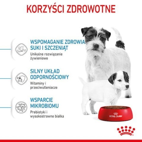 Royal Canin Size Royal Canin Mini Starter Mother&Babydog karma sucha dla szczeniąt do 2 miesiąca i suk karmiących ras małych 4kg