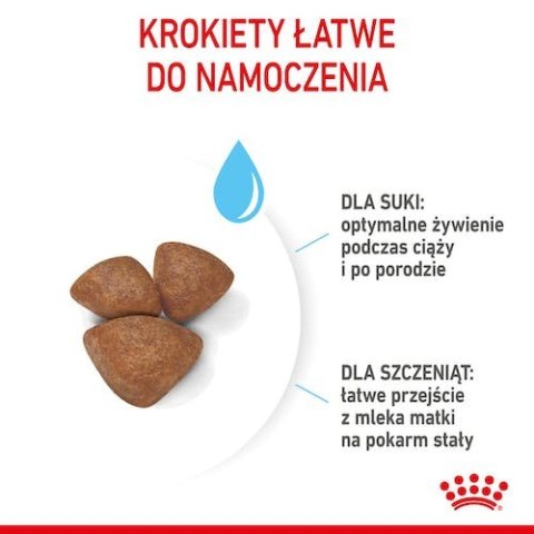 Royal Canin Size Royal Canin Mini Starter Mother&Babydog karma sucha dla szczeniąt do 2 miesiąca i suk karmiących ras małych 4kg