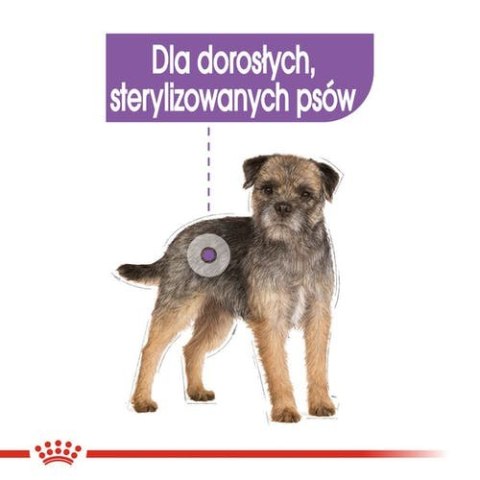 Royal Canin Size Royal Canin Sterilised karma mokra dla psów dorosłych, wszystkich ras po sterylizacji, pasztet saszetka 85g