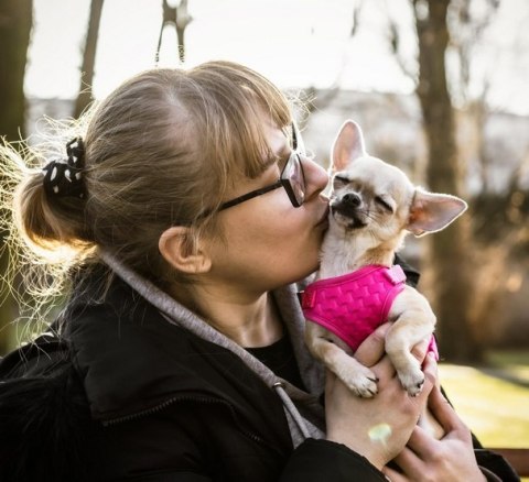 Dingo Dingo Szelki bezuciskowe z dwupaskową regulacją M różowe