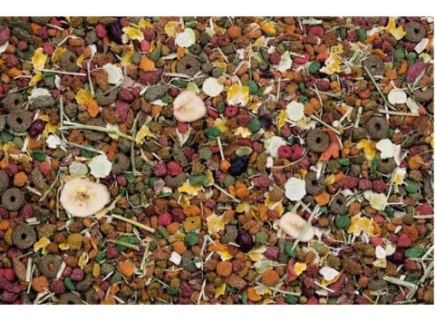 Versele-Laga Versele-Laga Chinchilla Nature Original pokarm dla szynszyli 750g Versele-Laga Versele-Laga Chinchilla Nature Original pokarm dla szynszyli 750g