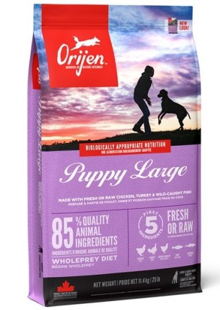 Orijen Orijen Puppy Large Breed 11,4kg